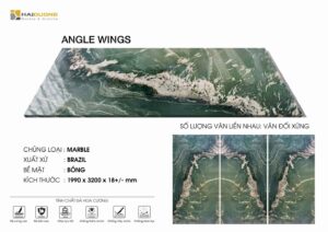 ANGLE WINGS