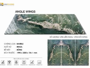 ANGLE WINGS