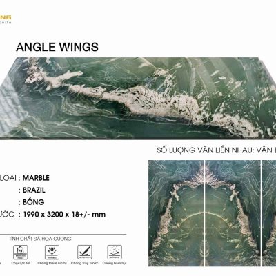 ANGLE WINGS
