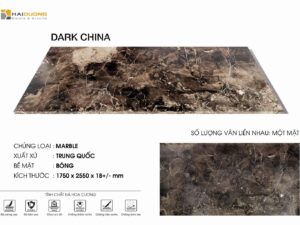 DARK CHINA