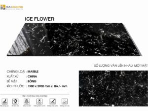 ICE FLOWER