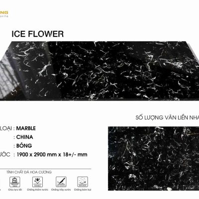 ICE FLOWER