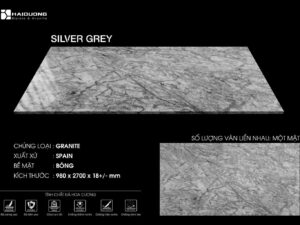 SILVER GREY