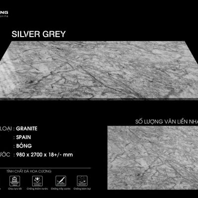 SILVER GREY