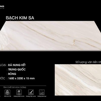 BẠCH KIM SA