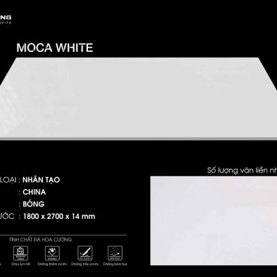 MOCA WHITE