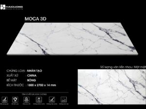 MOCA 3D