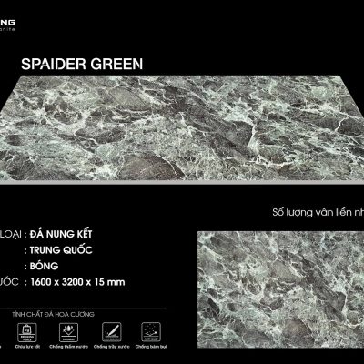 SPAIDER GREEN