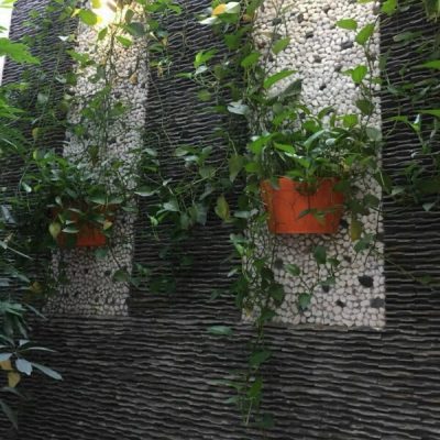 Đá tổ ong ốp tường