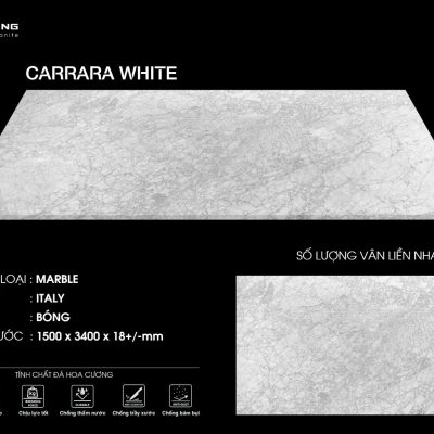 CARRARA WHITE - Đá Marble trắng vân xám cao cấp